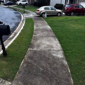 Whole Exterior Pressure Wash