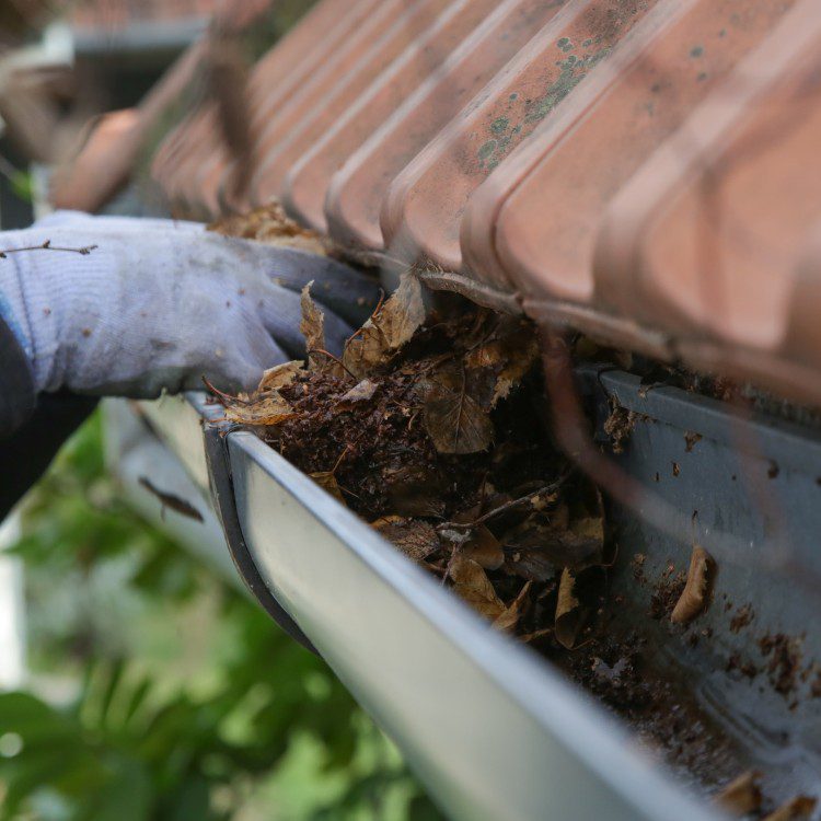 Gutter Cleaning