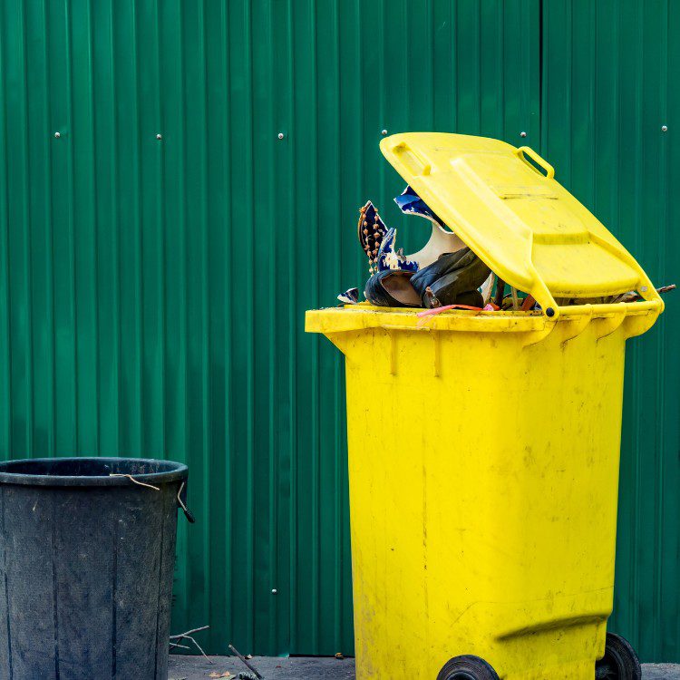 Trash Can Clean Out